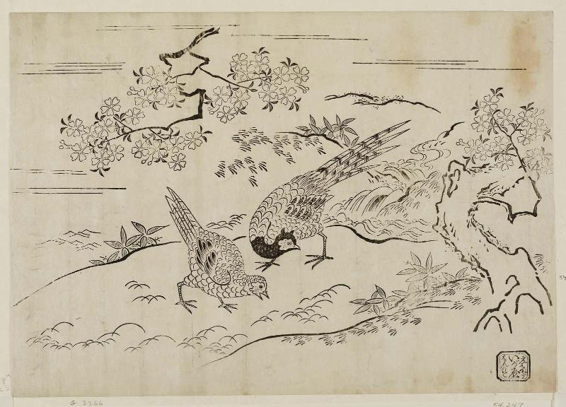 Pheasants under Cherry Tree