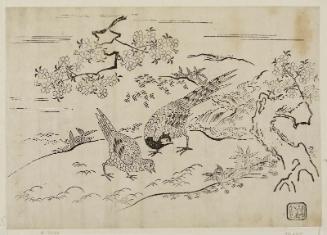 Pheasants under Cherry Tree