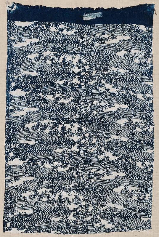 Fragment of cotton