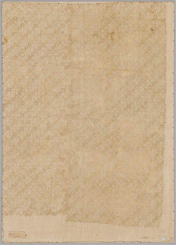 Fragment of cotton