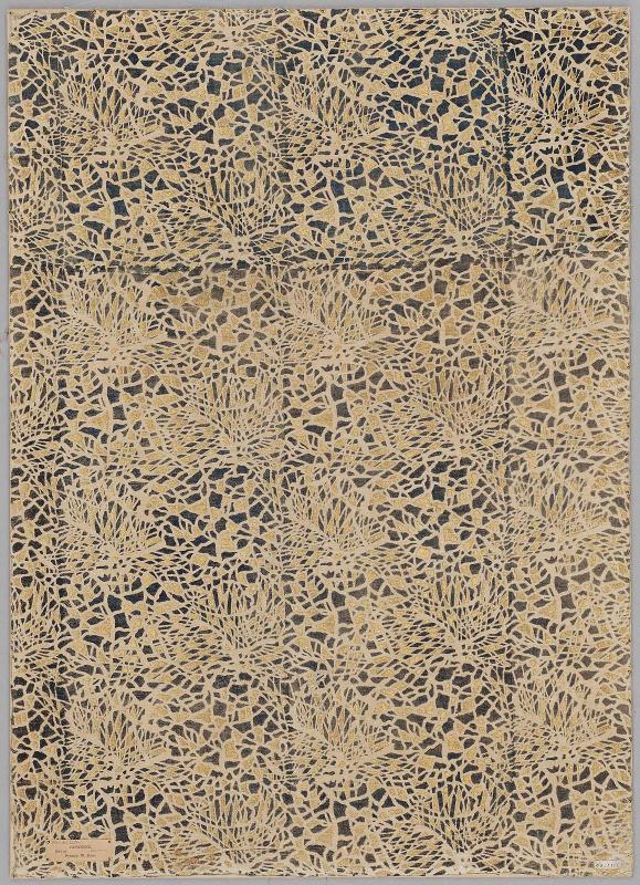 Fragment of cotton