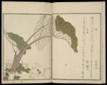 Volume A; Page 7