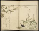Volume B; Page 3