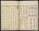 Volume B; Page 8