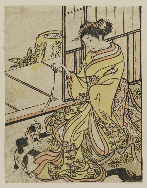 Woman Playing with Cat