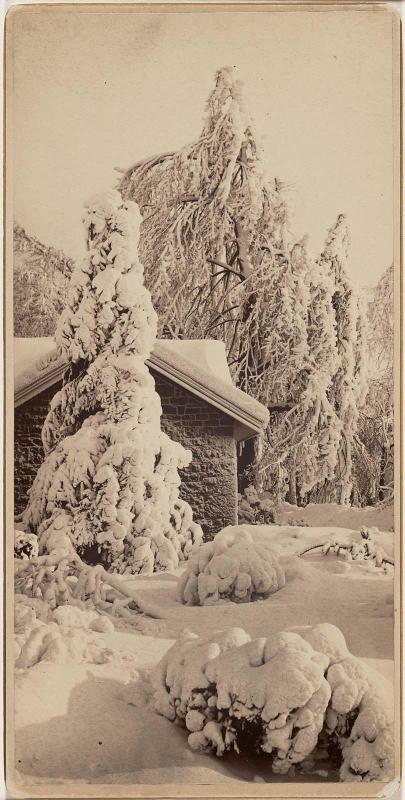 Cabin and Snow Laden Trees (Niagara Falls)