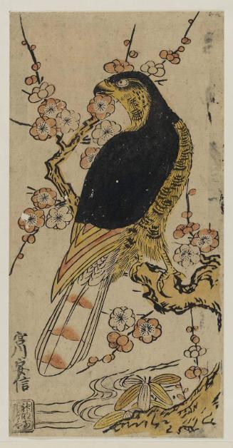 Hawk on a Plum Branch