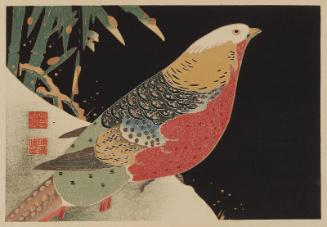 Golden Pheasant and Bamboo in Snow, from a set of reproductions of rubbing prints (taku-hon, ishizuri-e)
