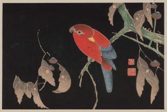 Macaw on Yew Branch, from a set of reproductions of rubbing prints (taku-hon, ishizuri-e)