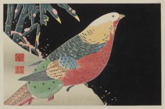 Golden Pheasant and Bamboo in Snow, from a set of reproductions of rubbing prints (taku-hon, ishizuri-e)
