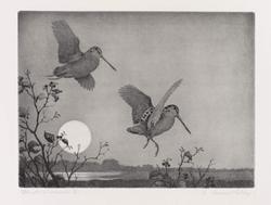 Flight Woodcock