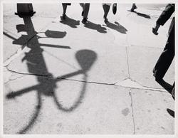 Lamp Shadow