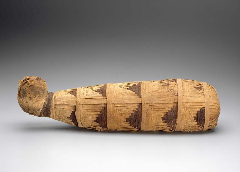 Mummy of a cat