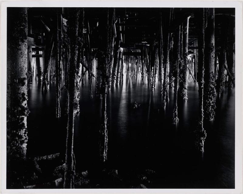 Under the Wharf