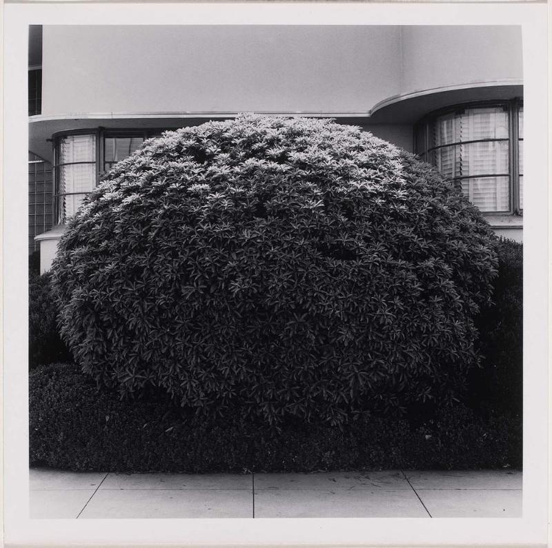 Untitled, Los Angeles