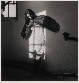 From the series Winged Souls
