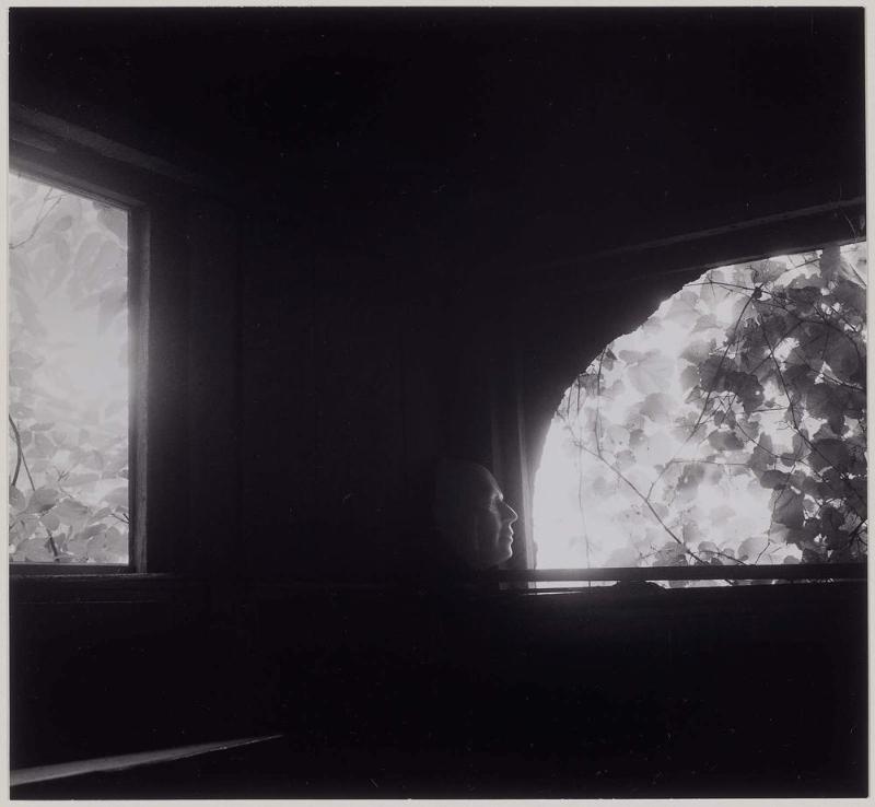 Mask and Windows