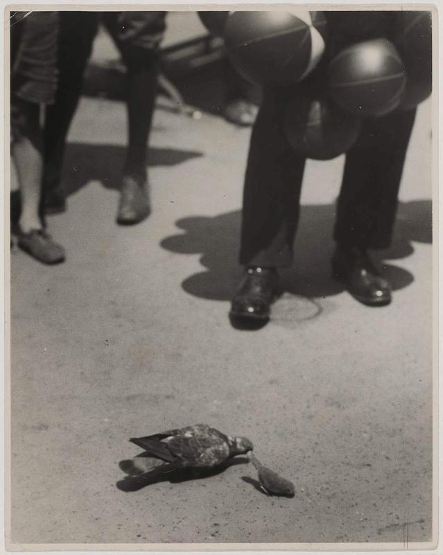 Juggler (Gaukler)(Berlin?)