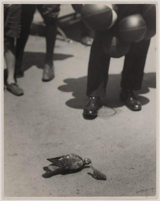 Juggler (Gaukler)(Berlin?)