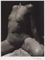Nude Torso