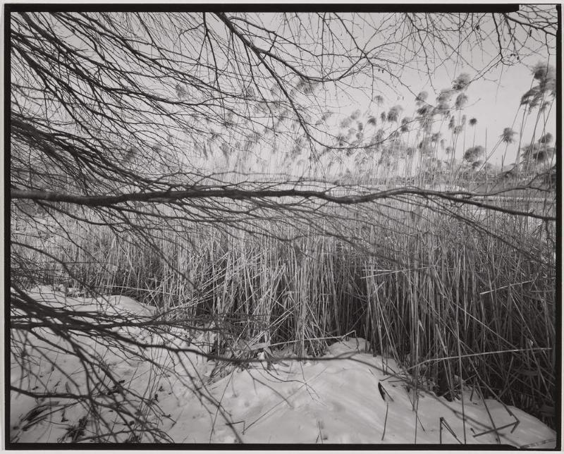 Charles River, Cambridge
