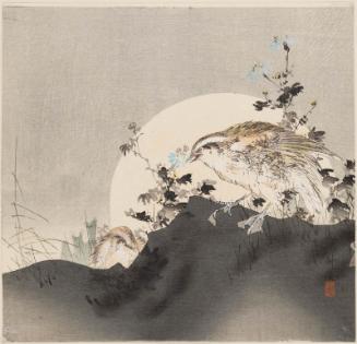 Quail and Wild Chrysanthemums in Moonlight