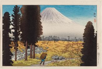 Mount Fuji from Gumizawa