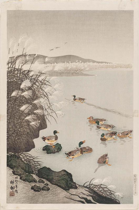 Wild Ducks and Pampas Grass