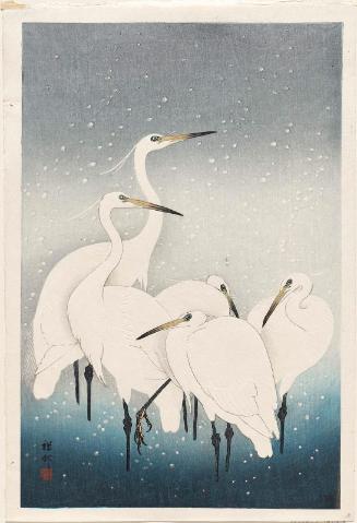Herons in Snow
