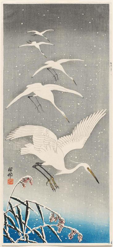 Five Egrets Descending in Snow