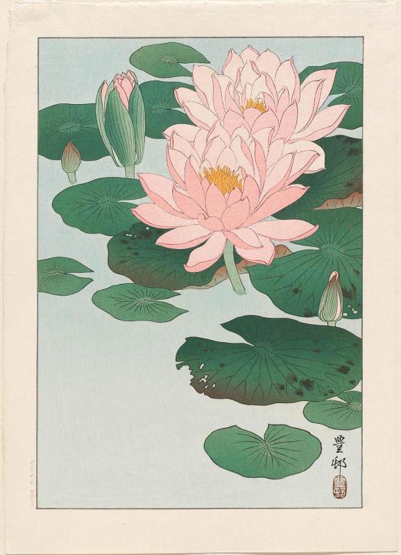 Water Lilies