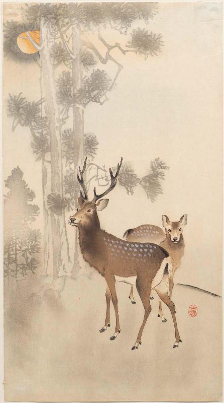 Deer and Pine Tree in Moonlight