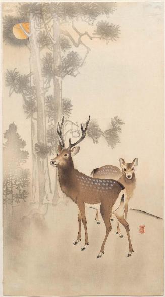 Deer and Pine Tree in Moonlight