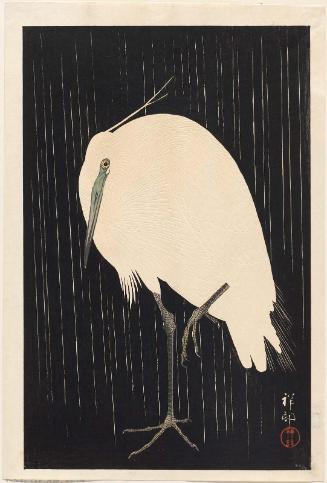 Egret Standing in Rain