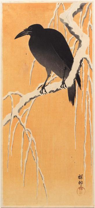 Crow on Snowy Branch at Dawn
