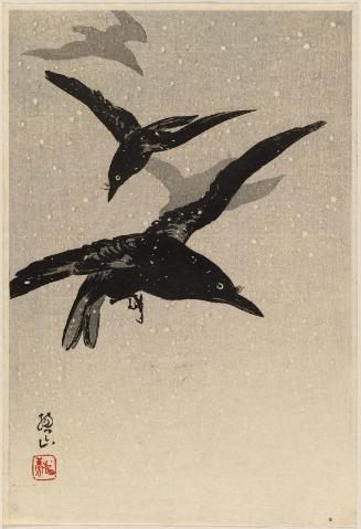 Crows Flying in Snowstorm