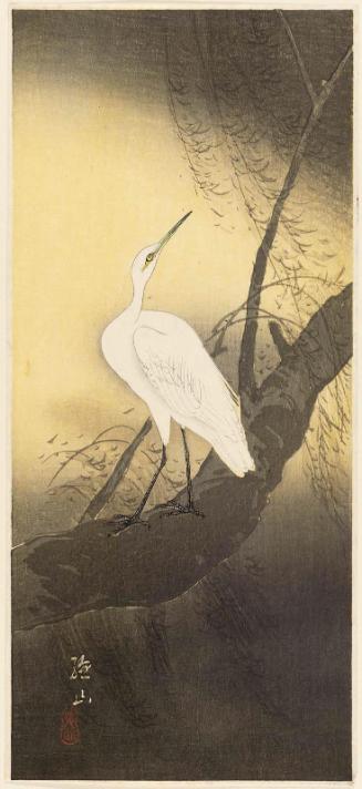 Snowy Egret on Willow Branch