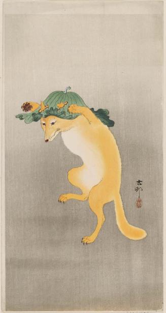 Dancing Fox with Lotus-leaf Hat