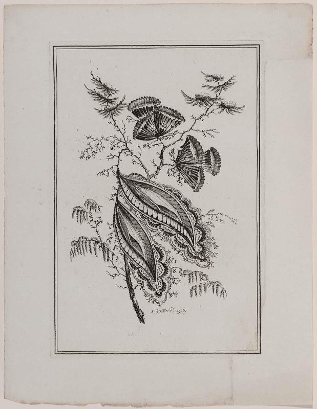 Stem of idealized flowers. (Black and white version of 30.1241.4)