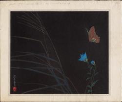 Butterfly and Bellflower