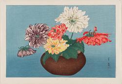 Dahlias (Dariya)