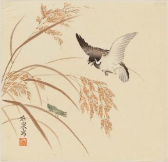 Sparrow, Grasshopper, and Rice Ears