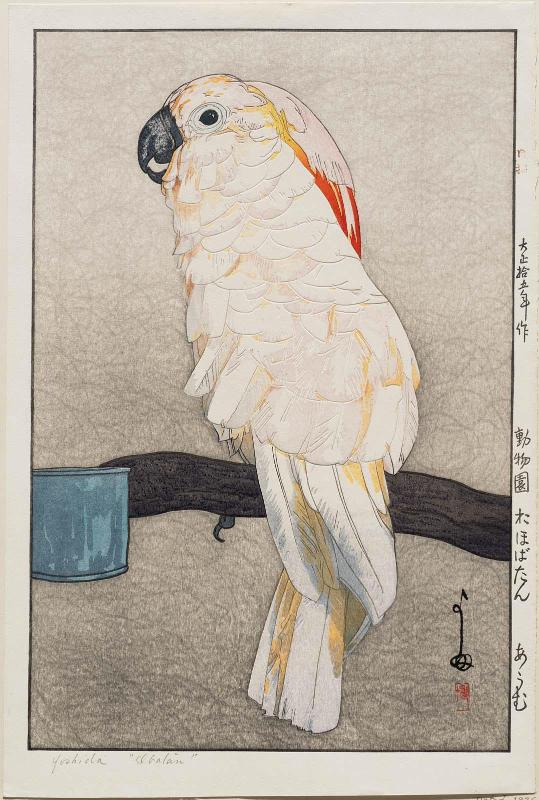 Ôbatan Parrot (Ôbatan ômu), from the series Zoo (Dôbutsuen)