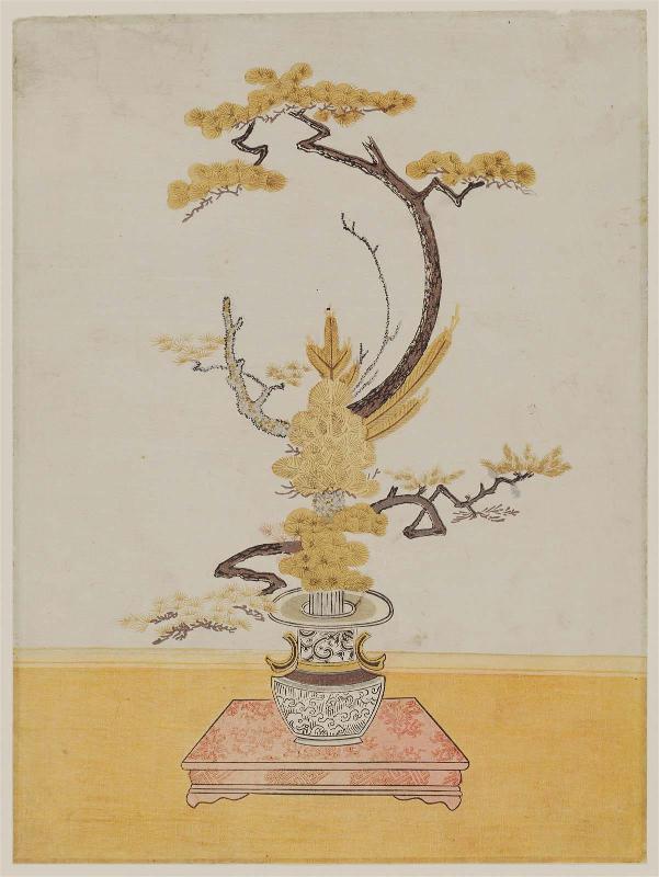 Arrangement of Pine Branches