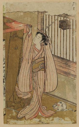 Young Woman Hanging a Mosquito Net, with Insect Cage and Cat