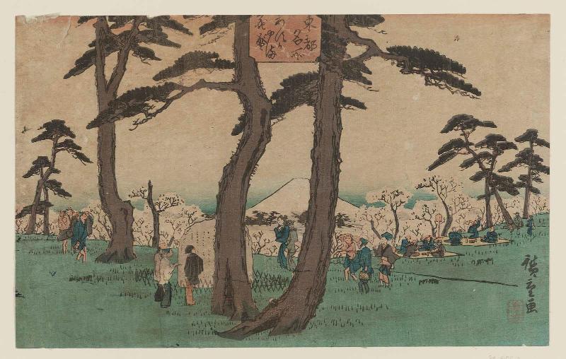 Cherry Blossoms in Full Bloom at Asuka Hill (Asukayama hanazakari), from the series Famous Places in the Eastern Capital (Tôto meisho)