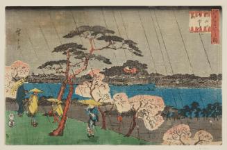 Cherry Blossoms in Rain along the Sumida River (Sumidagawa uchû no hana), from the series Famous Places in Edo (Edo meisho no uchi)