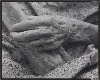 C. C., Boston from the Nursing Home Series