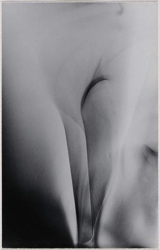 Photogram (Veils)