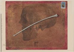 The Anatomist's Notebook